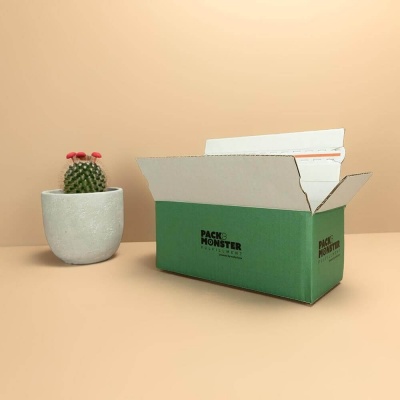 Versandkarton E-Commerce